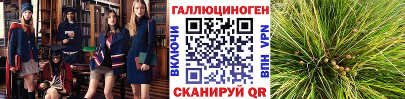 купить  сайты  Тула  Псилоцибиновые грибы Magic Shrooms 